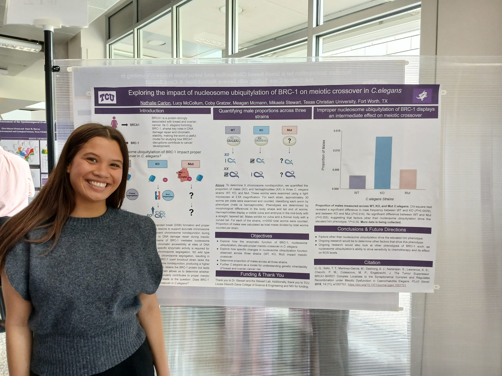 Student presenting a poster on C. elegans meiosis